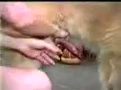 Cock loving trollop shows off her fucking skills on a dog in this dilettante xxx beastiality movie